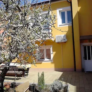 Ani Povljana